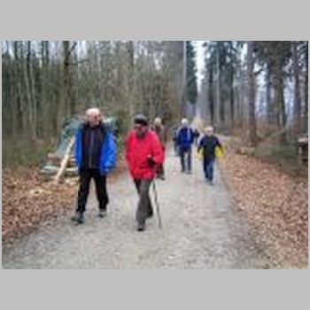 20080130_Wanderung  Islikon nach Rickenbach und nach Welsikon-Dinhard-IMG_3982-small.jpg